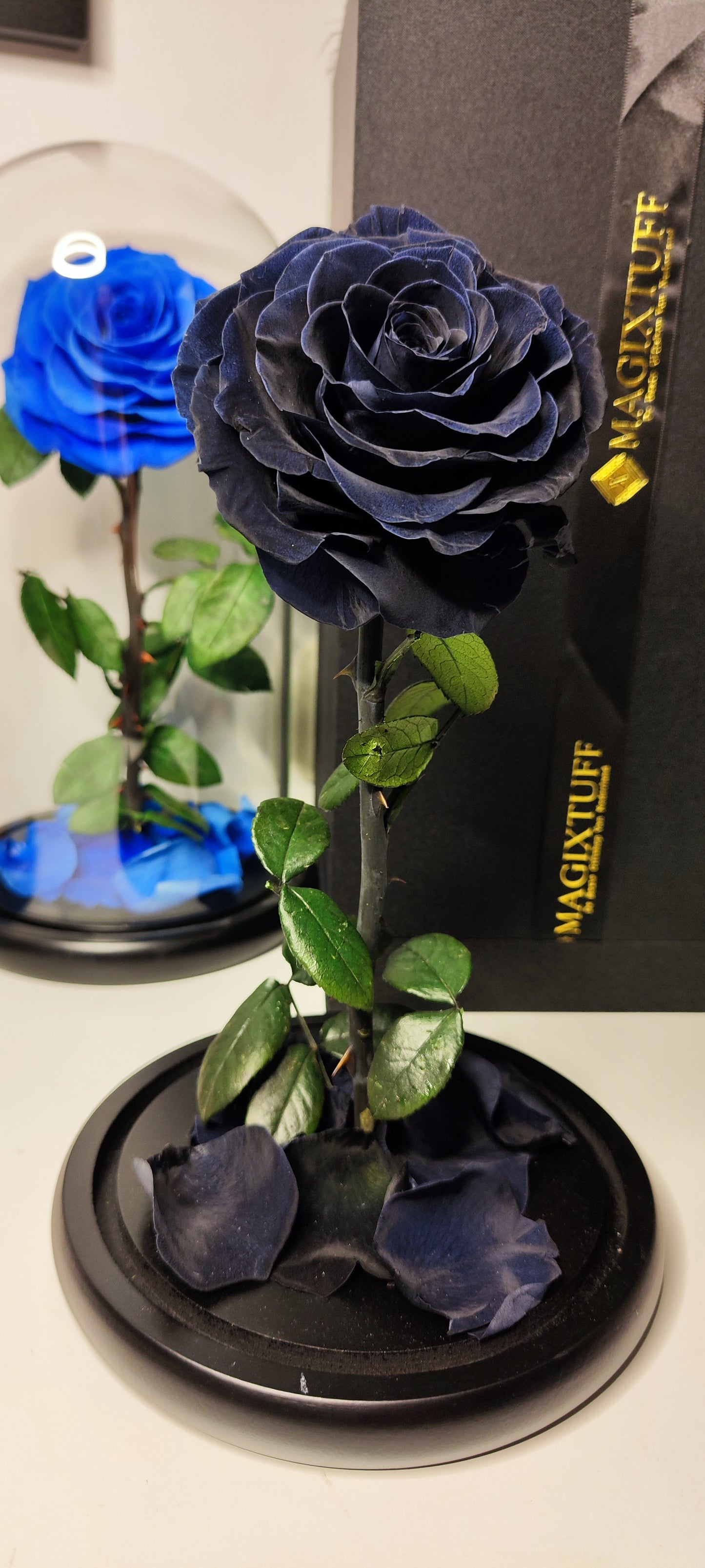 Infinity Rose