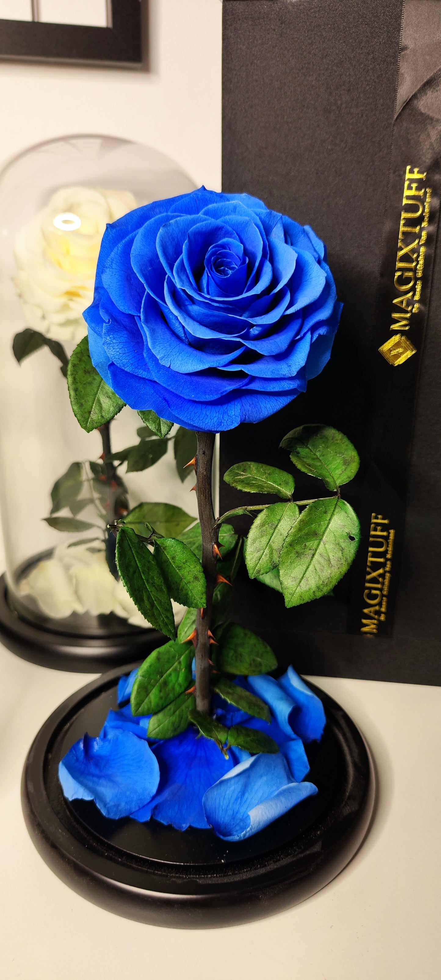 Infinity Rose