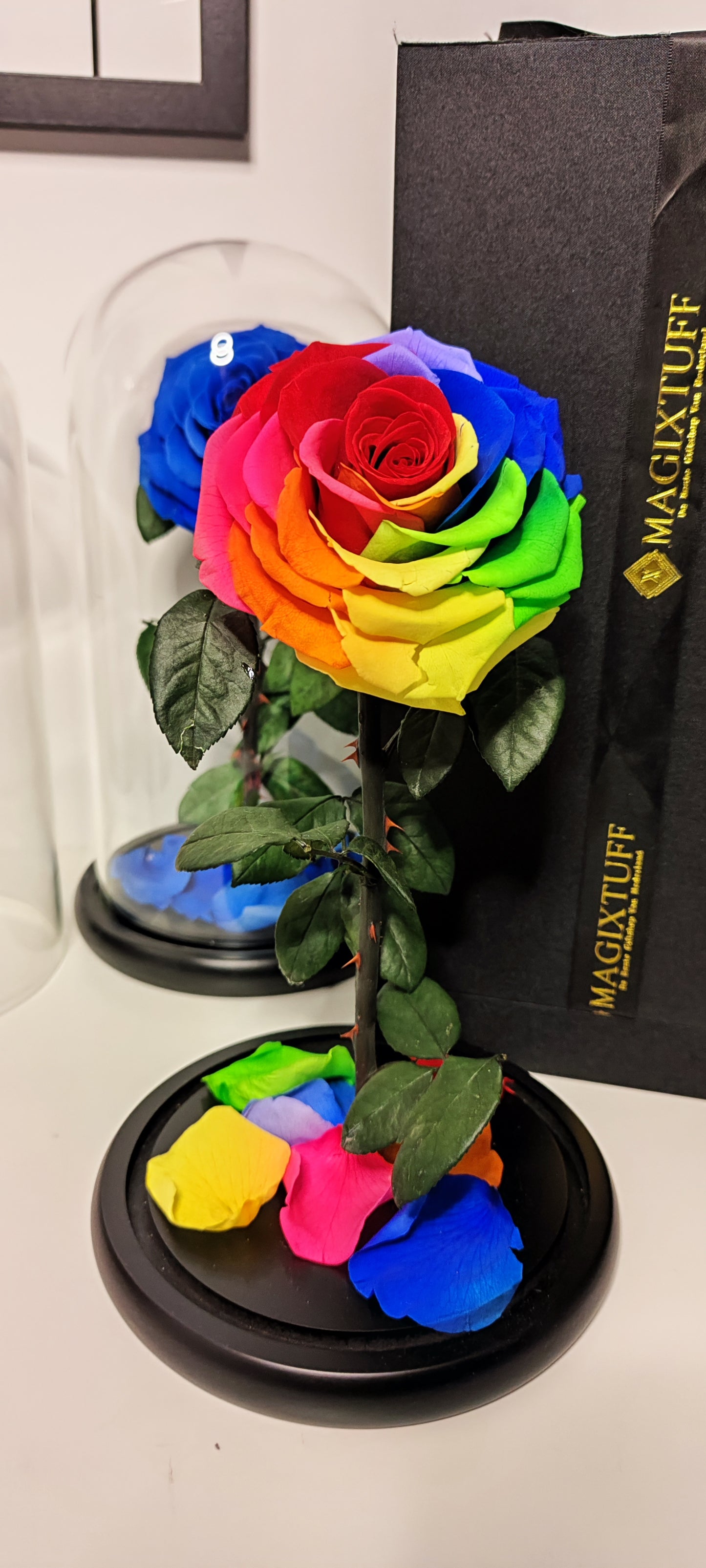 Infinity Rose