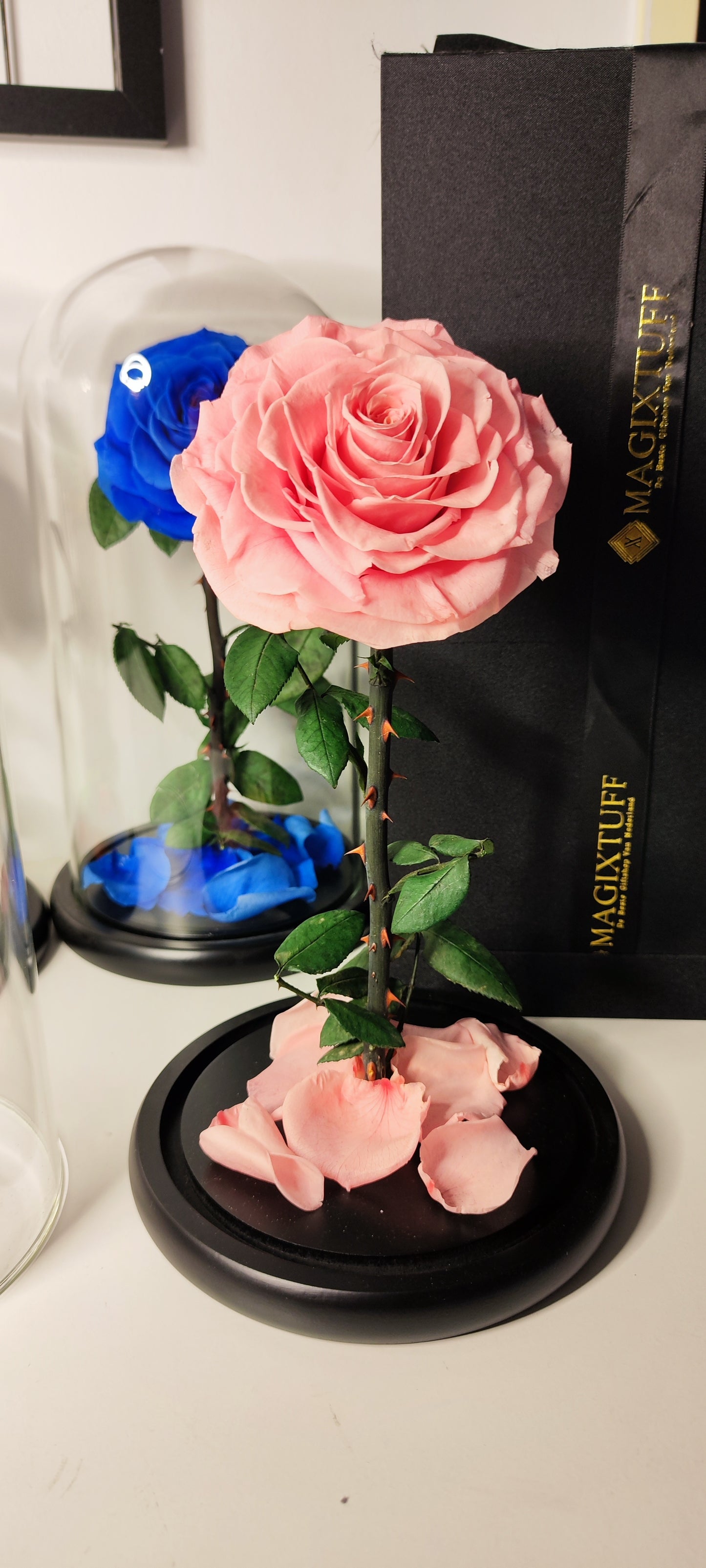 Infinity Rose